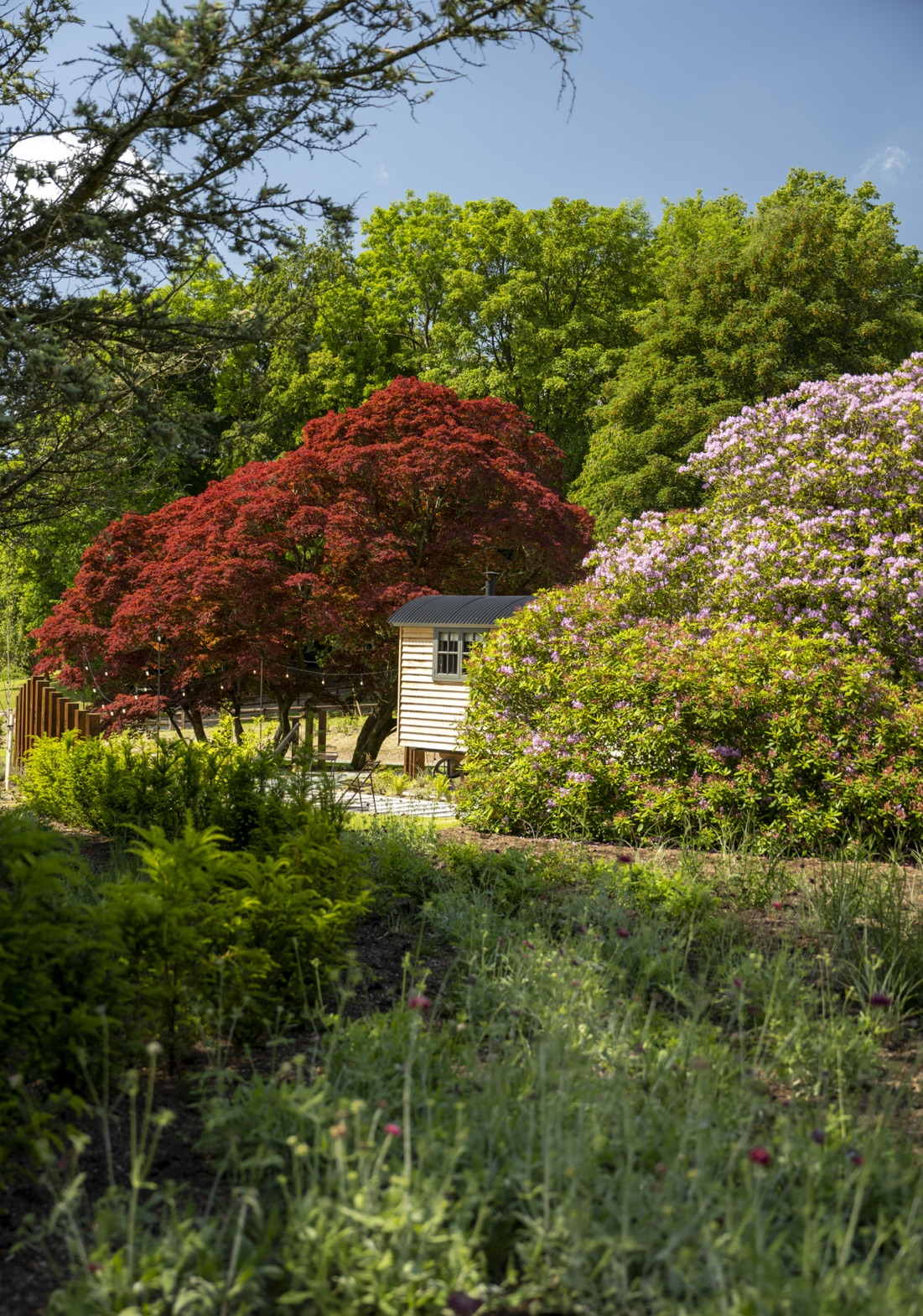 Another Place, The Lake - Shepherd Huts